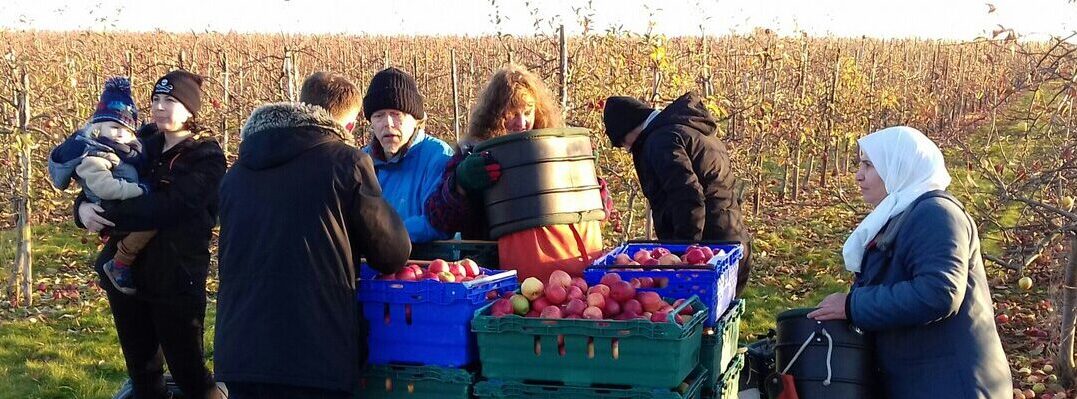 refujuice harvesting apples